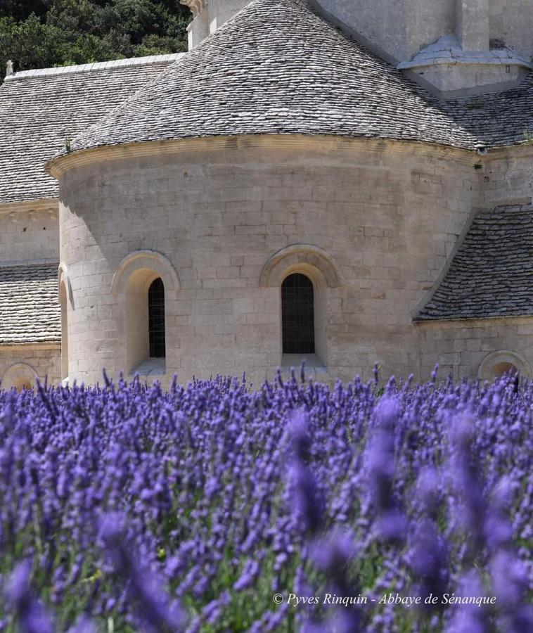Entre Ventoux Et Luberon Chambre D'Hote Sault Eksteriør billede