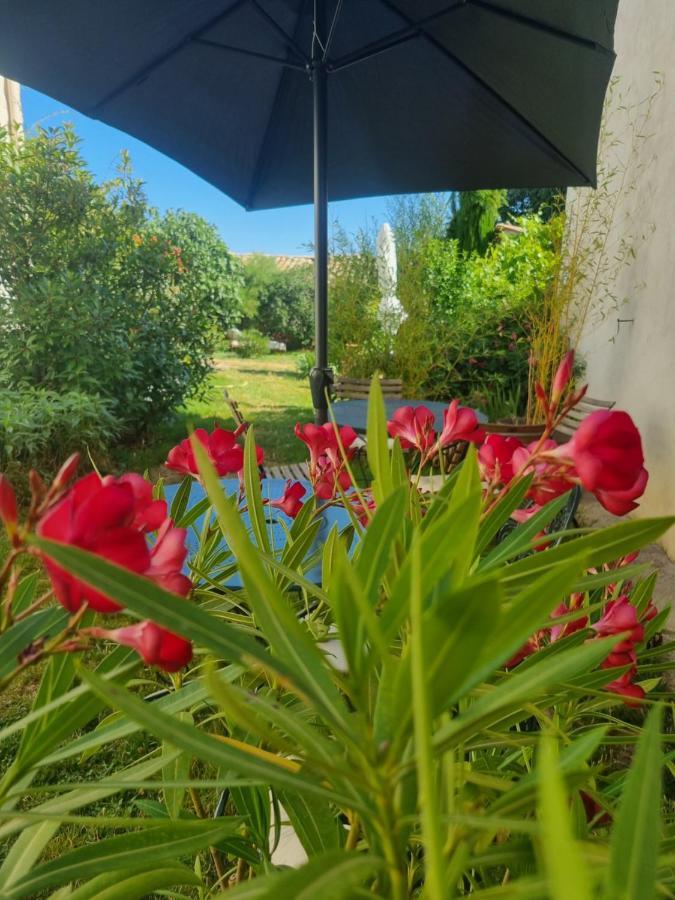 Entre Ventoux Et Luberon Chambre D'Hote Sault Eksteriør billede