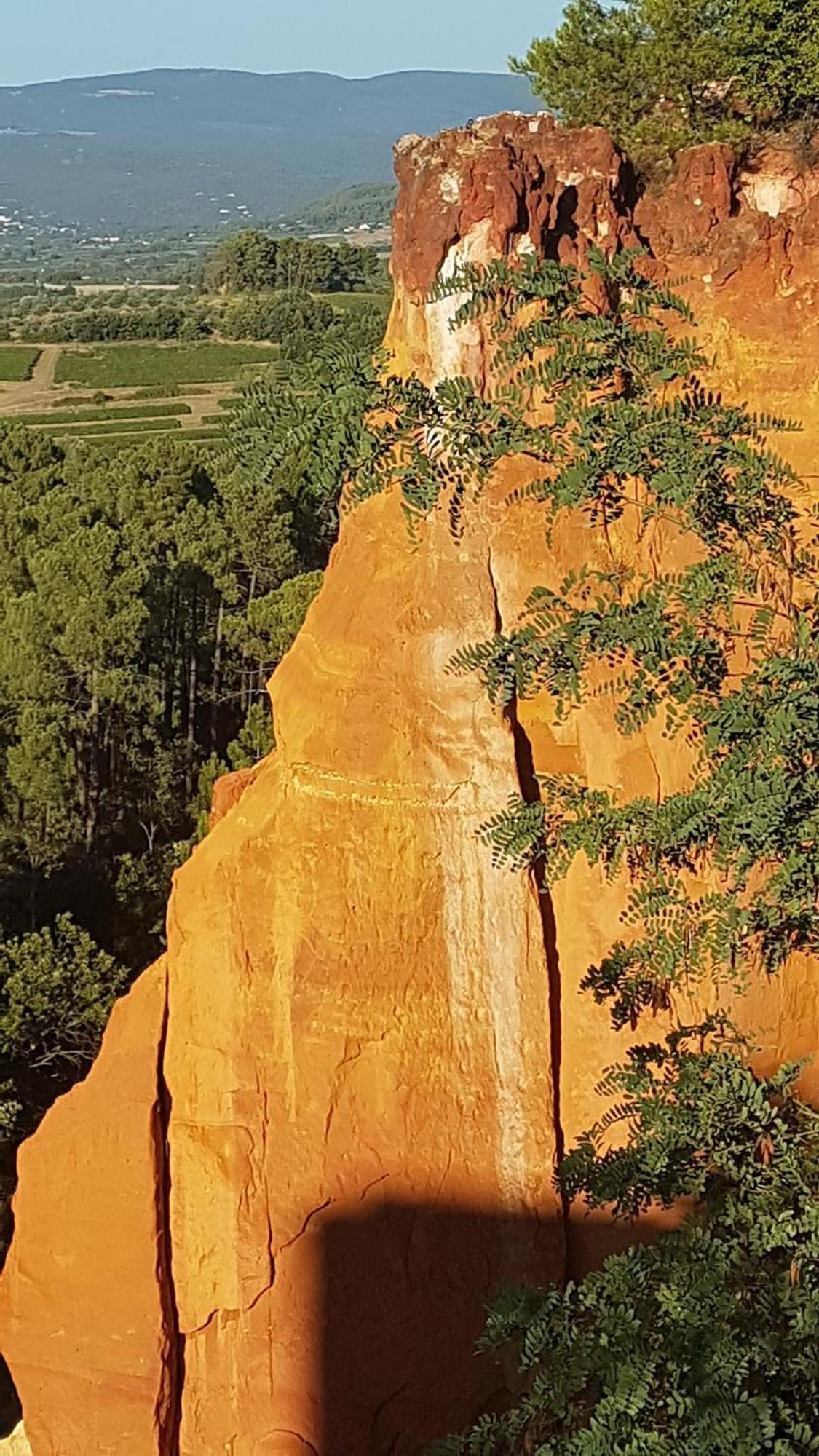 Entre Ventoux Et Luberon Chambre D'Hote Sault Eksteriør billede