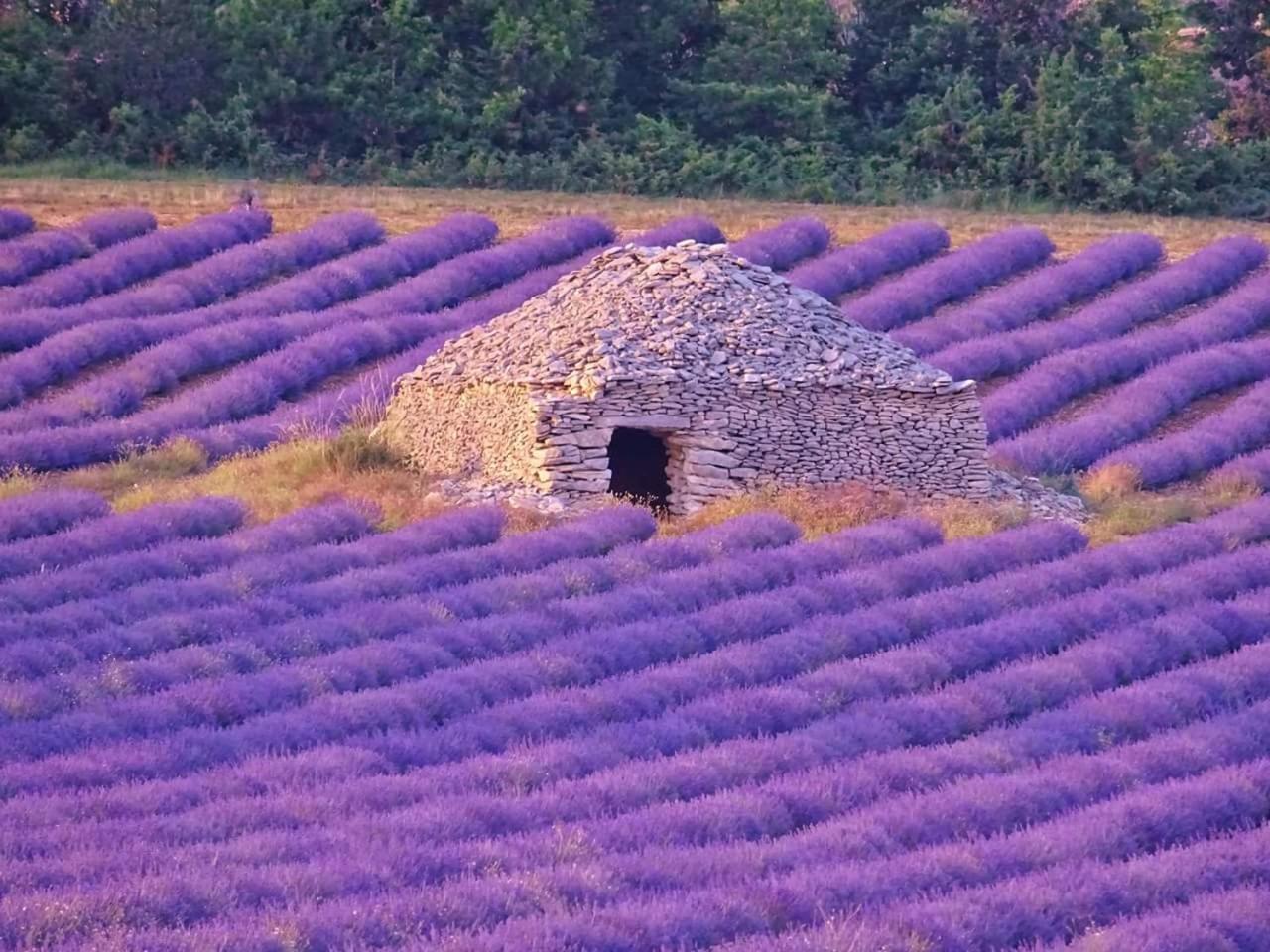 Entre Ventoux Et Luberon Chambre D'Hote Sault Eksteriør billede